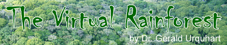 The Virtual Rainforest